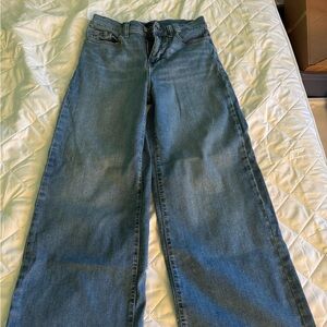 Banana Republic Women’s Classic Blue Wide Leg jeans